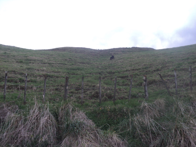 Name:  picture 01 3960.jpg
Views: 303
Size:  162.8 KB
