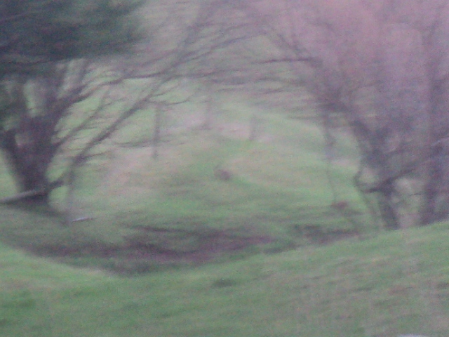 Name:  picture 01 3965.jpg
Views: 309
Size:  163.7 KB