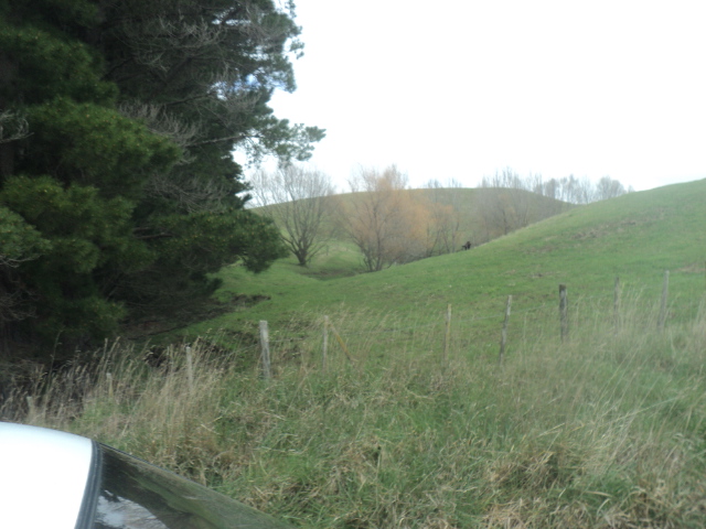 Name:  picture 01 3972.jpg
Views: 299
Size:  163.0 KB