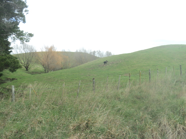 Name:  picture 01 3973.jpg
Views: 307
Size:  162.9 KB