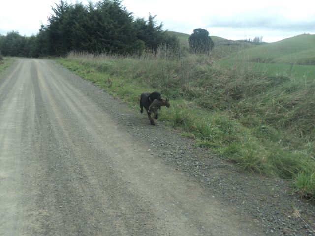 Name:  picture 01 3974.jpg
Views: 302
Size:  164.6 KB