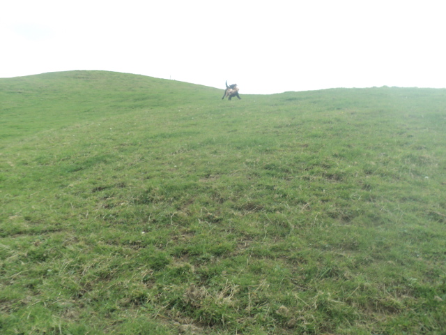 Name:  picture 01 4062.jpg
Views: 158
Size:  164.6 KB