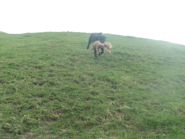 Name:  picture 01 4063.jpg
Views: 166
Size:  163.9 KB