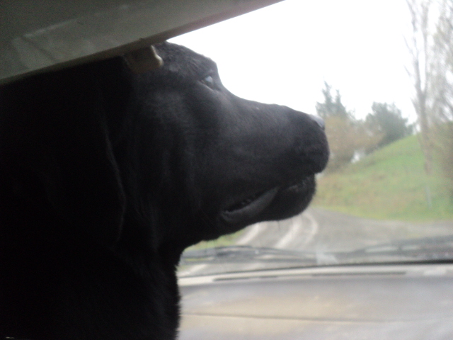 Name:  picture 01 4077.jpg
Views: 245
Size:  163.2 KB