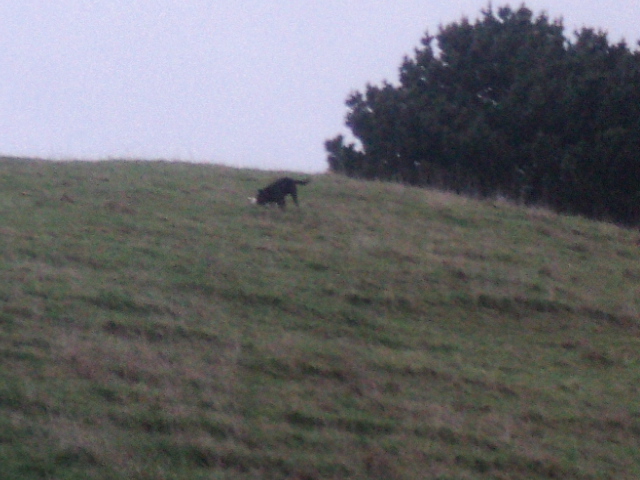 Name:  picture 01 4073.jpg
Views: 250
Size:  165.0 KB