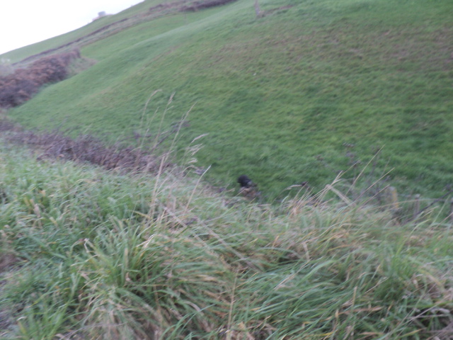Name:  picture 01 4095.jpg
Views: 151
Size:  164.2 KB