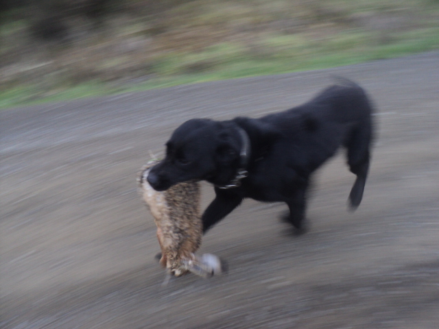 Name:  picture 01 4096.jpg
Views: 153
Size:  157.1 KB