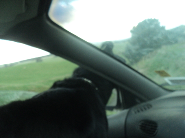 Name:  picture 01 4108.jpg
Views: 266
Size:  164.8 KB