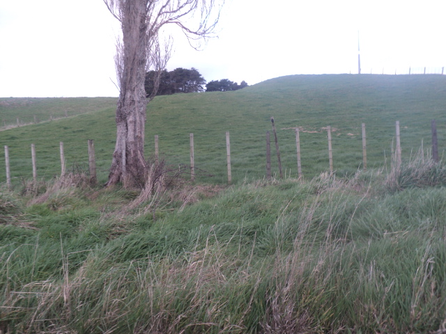 Name:  picture 01 4105.jpg
Views: 269
Size:  162.9 KB