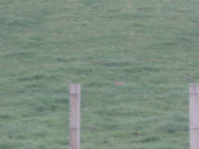 Name:  picture 01 4106.jpg
Views: 268
Size:  164.3 KB