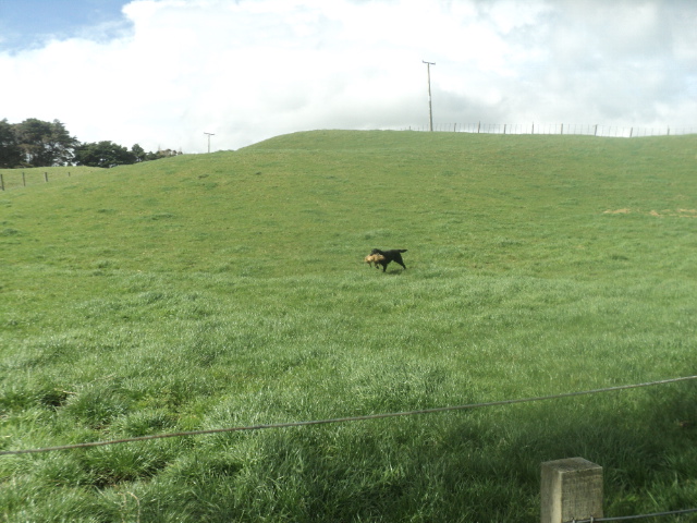 Name:  picture 01 4103.jpg
Views: 267
Size:  165.2 KB