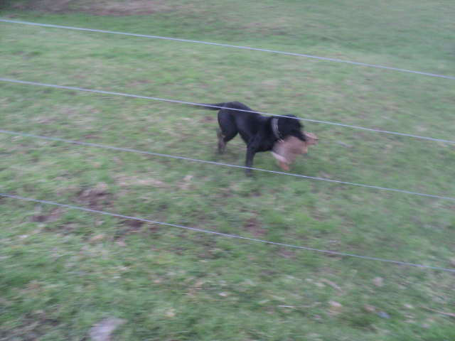 Name:  picture 01 4109.jpg
Views: 260
Size:  163.1 KB