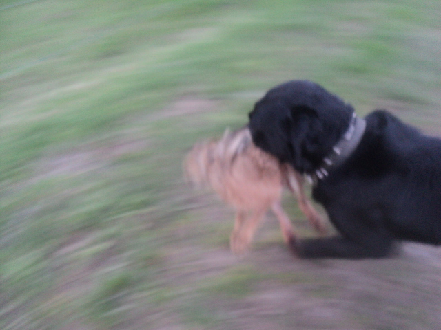 Name:  picture 01 4110.jpg
Views: 265
Size:  156.8 KB