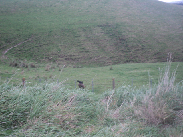 Name:  picture 01 4133.jpg
Views: 201
Size:  164.4 KB