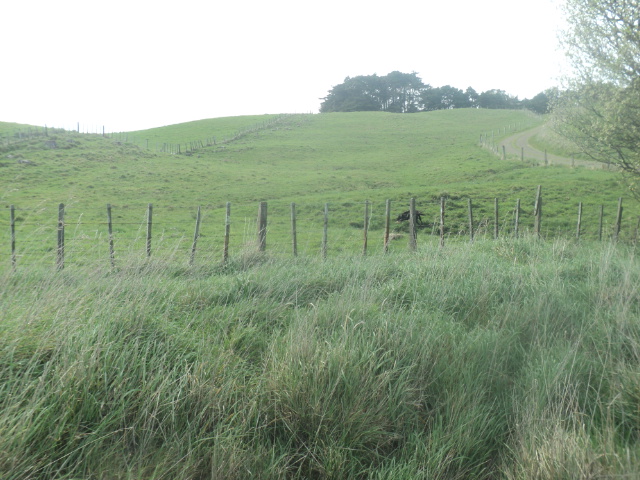 Name:  picture 01 4156.jpg
Views: 307
Size:  163.1 KB