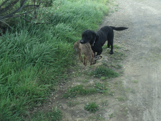 Name:  picture 01 4157.jpg
Views: 322
Size:  165.0 KB