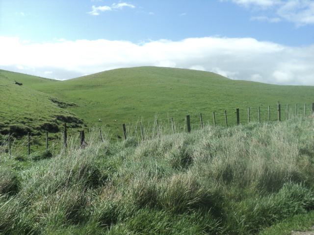 Name:  picture 01 4158.jpg
Views: 299
Size:  164.7 KB
