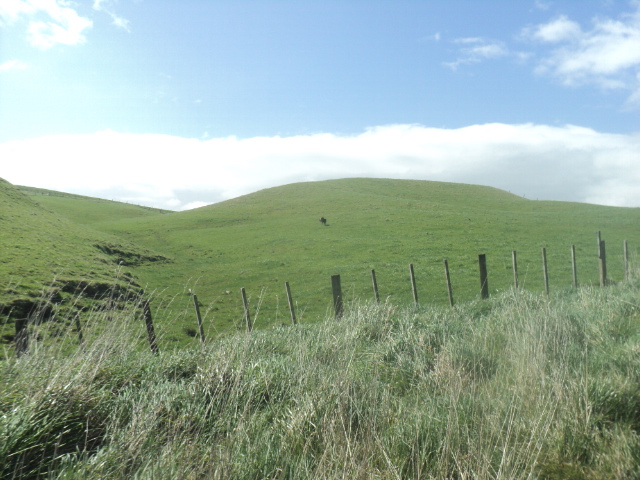 Name:  picture 01 4159.jpg
Views: 294
Size:  163.3 KB