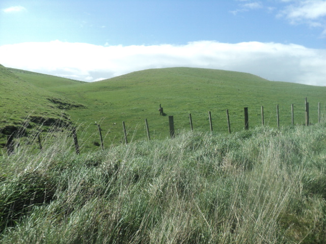 Name:  picture 01 4160.jpg
Views: 293
Size:  164.0 KB