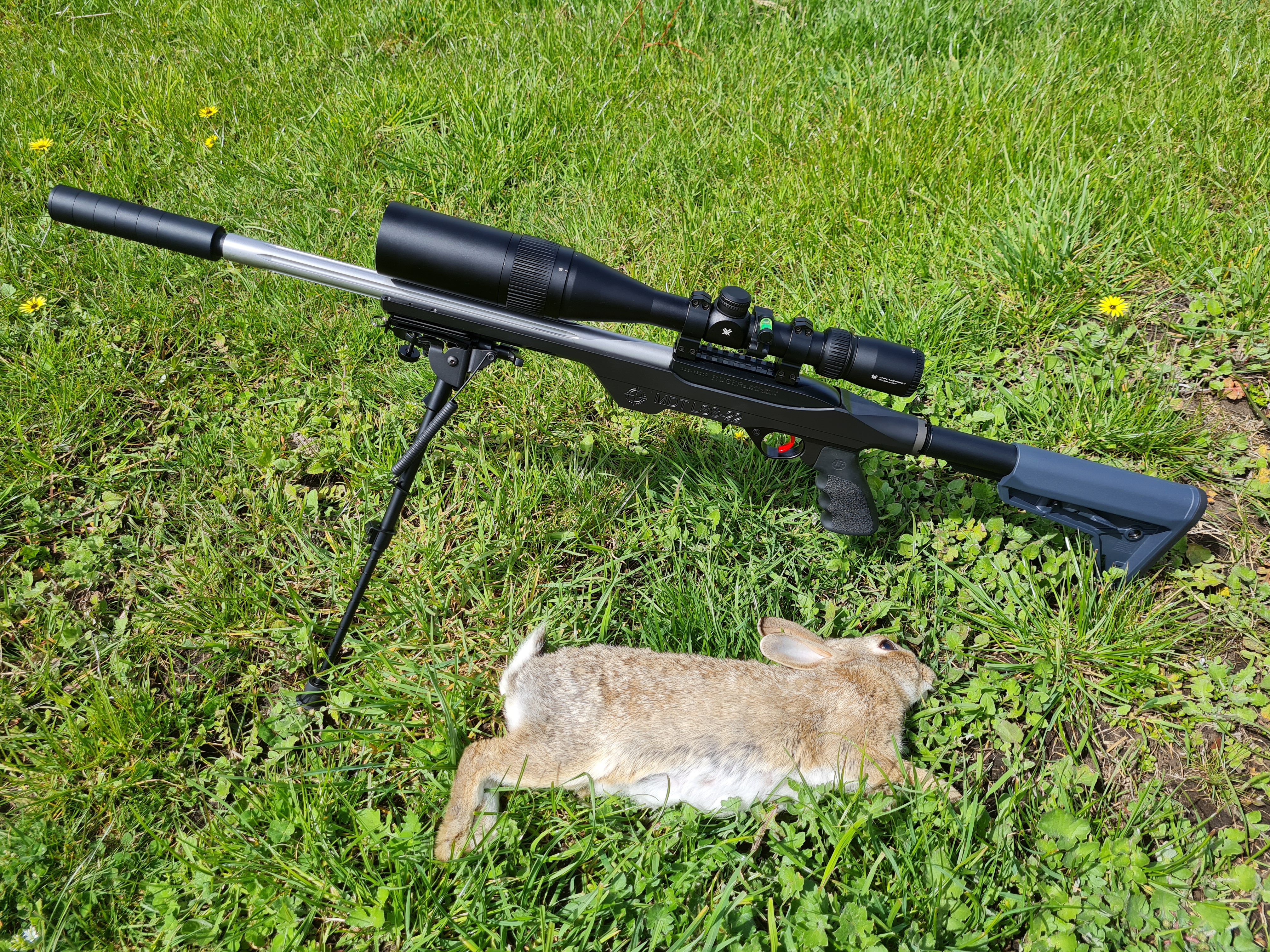 Name:  rabbit 20211003.jpg
Views: 355
Size:  6.76 MB