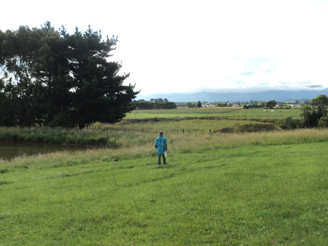 Name:  picture 2743.jpg
Views: 363
Size:  162.5 KB