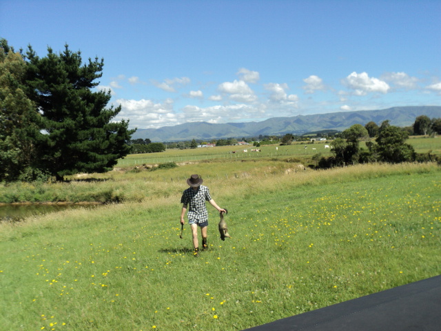 Name:  picture 2745.jpg
Views: 314
Size:  164.7 KB