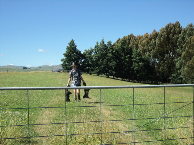 Name:  picture 2746.jpg
Views: 363
Size:  164.5 KB