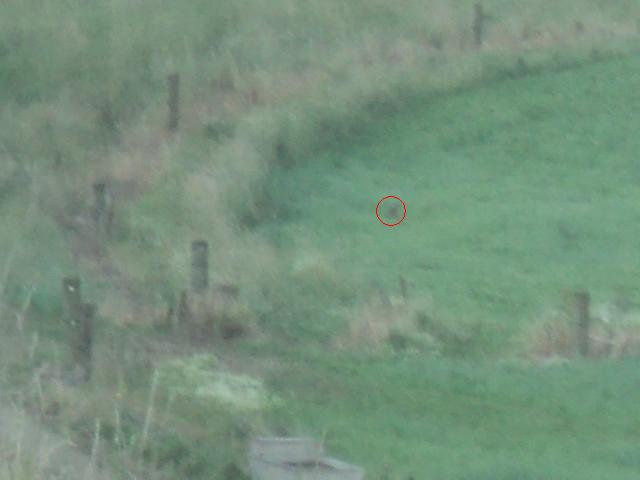 Name:  picture 01 4587.jpg
Views: 382
Size:  42.5 KB