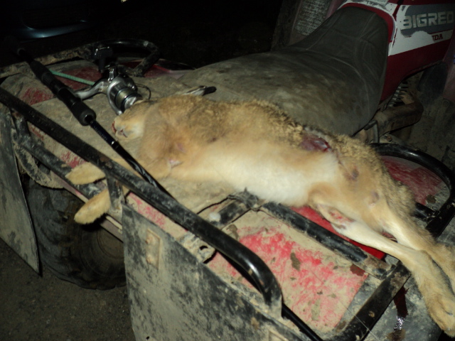 Name:  picture 2867.jpg
Views: 436
Size:  164.8 KB