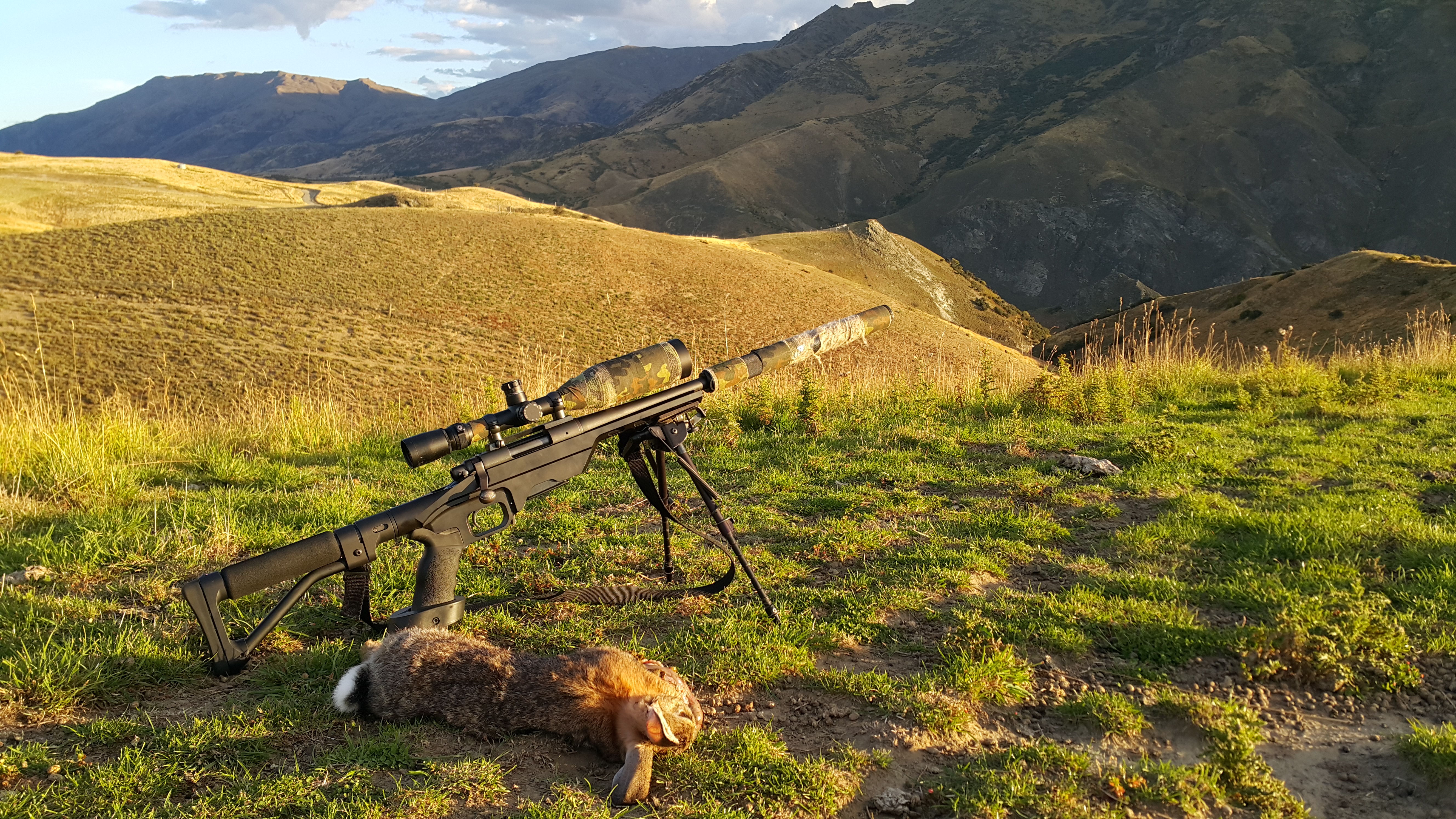 NZ Hunting and Shooting Forums