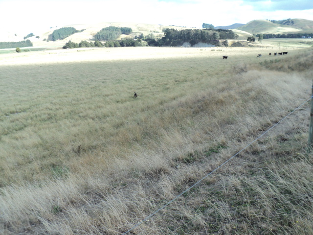 Name:  picture 2914.jpg
Views: 407
Size:  165.3 KB