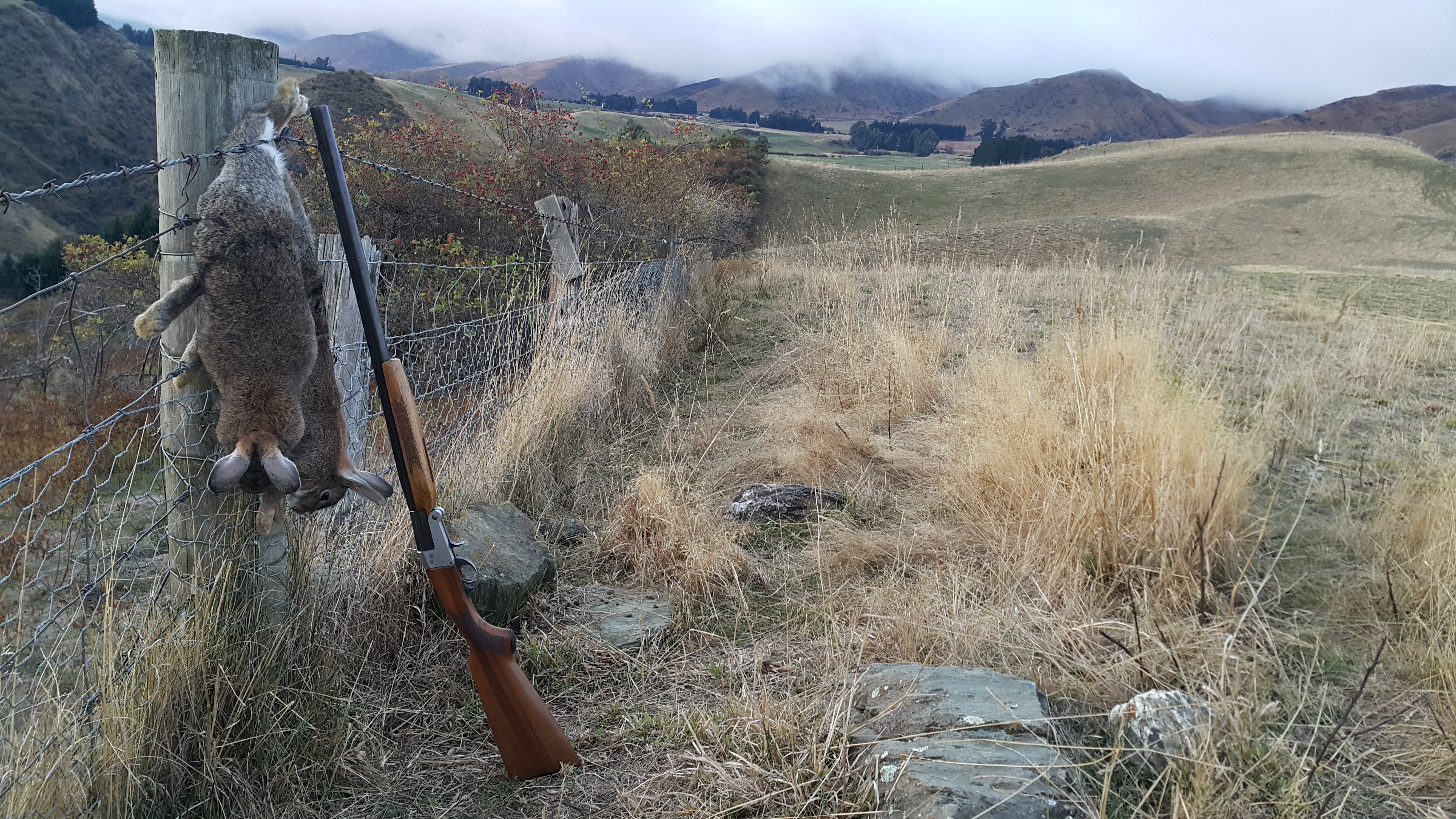 NZ Hunting and Shooting Forums