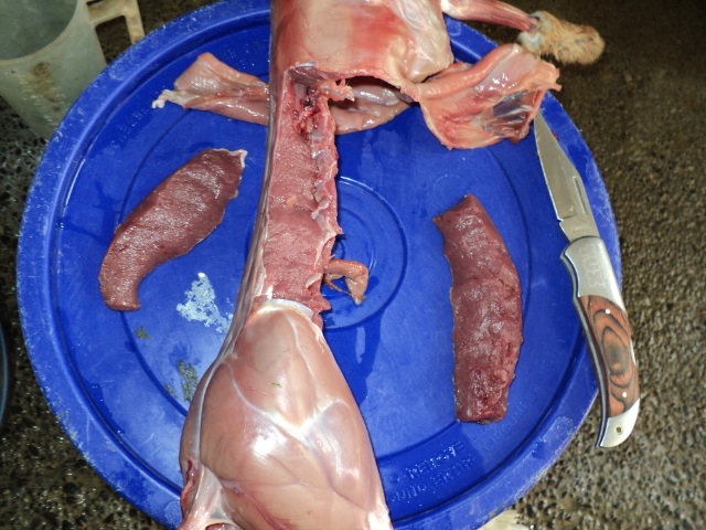 Name:  picture 415.jpg
Views: 294
Size:  164.4 KB