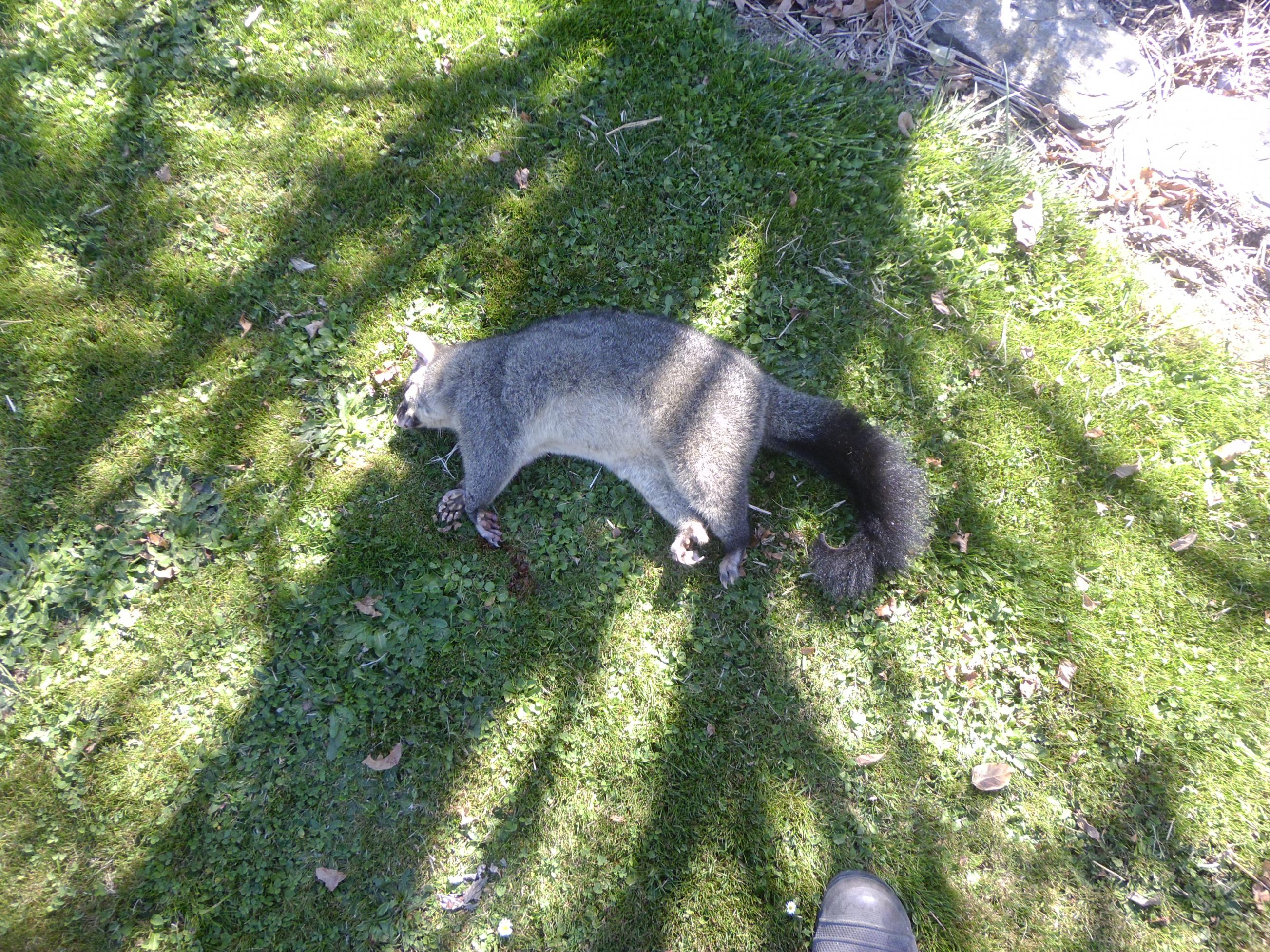 Name:  hunting 072.jpg
Views: 414
Size:  1.23 MB
