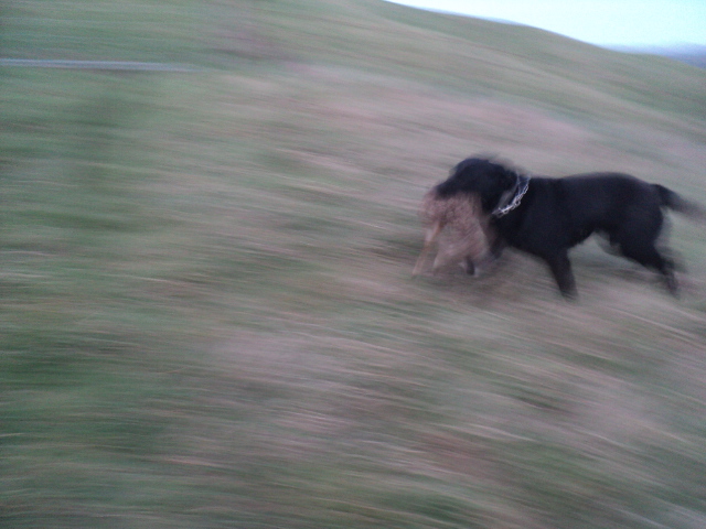 Name:  picture 01 5707.jpg
Views: 297
Size:  165.1 KB