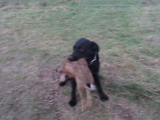 Name:  picture 01 5709.jpg
Views: 241
Size:  162.5 KB