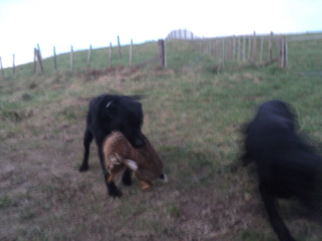 Name:  picture 01 5716.jpg
Views: 246
Size:  165.1 KB