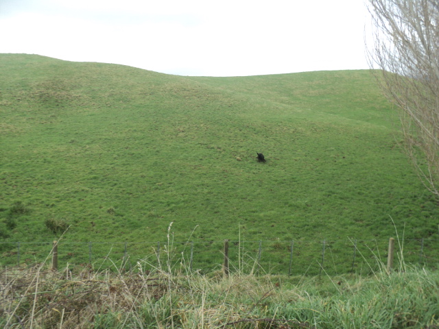 Name:  picture 01 5737.jpg
Views: 187
Size:  165.2 KB