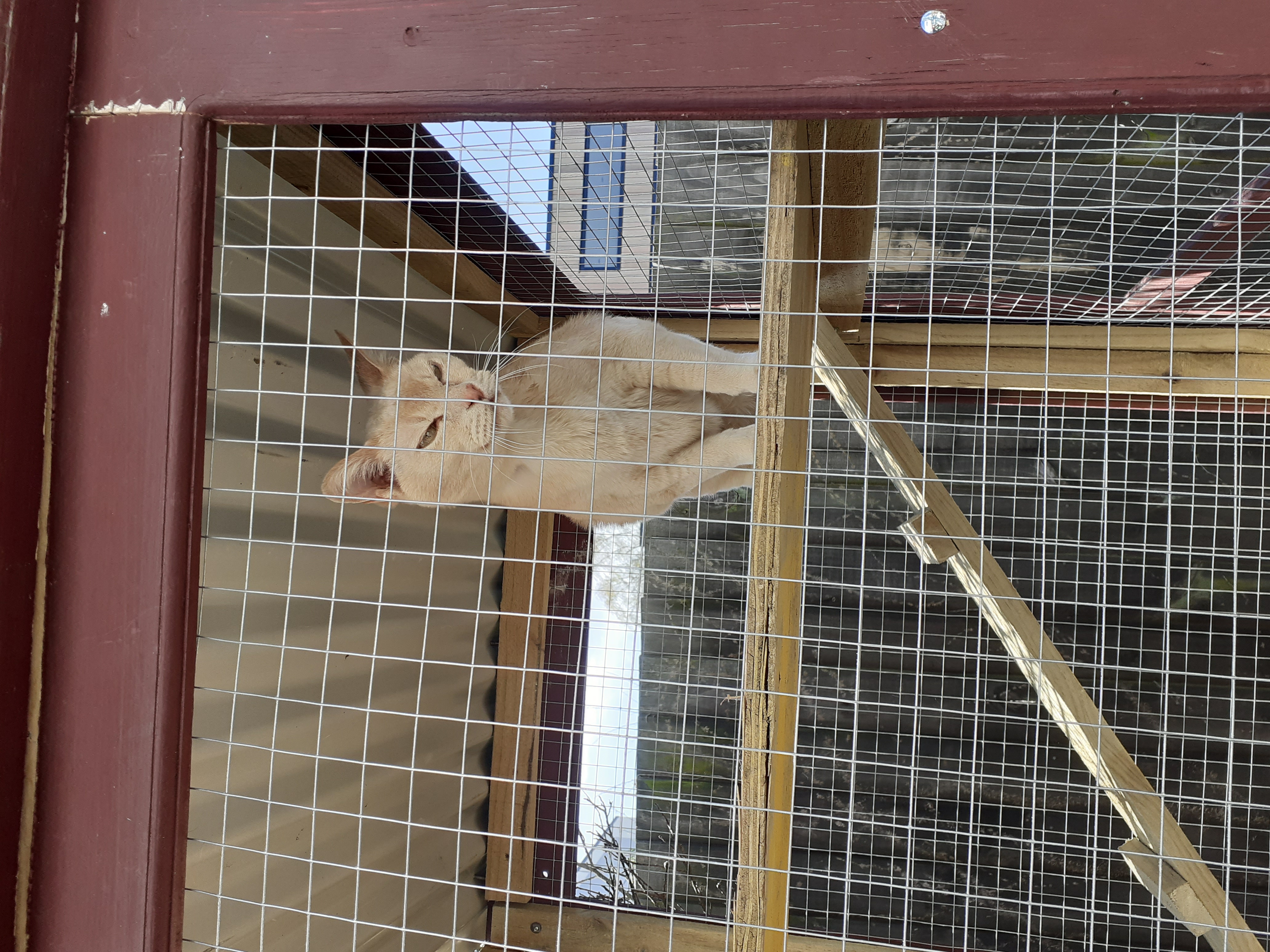 Name:  Louie in Colditz.jpg
Views: 294
Size:  3.44 MB