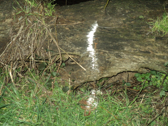 Name:  picture 01 5772.jpg
Views: 253
Size:  163.5 KB