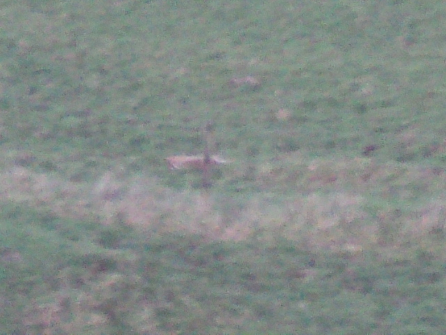 Name:  picture 01 5813.jpg
Views: 216
Size:  163.2 KB