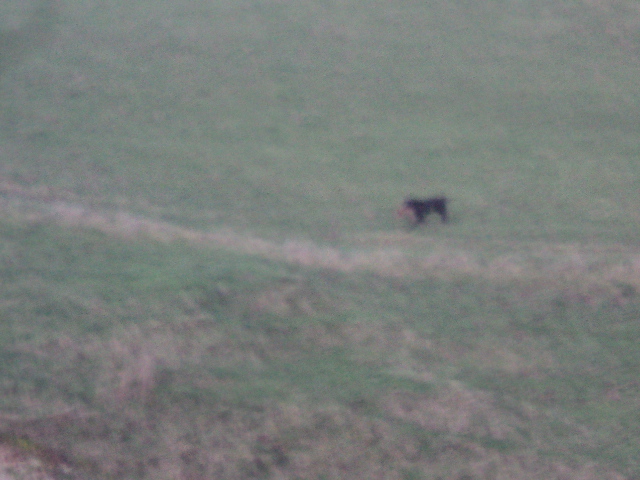 Name:  picture 01 5815.jpg
Views: 183
Size:  162.5 KB