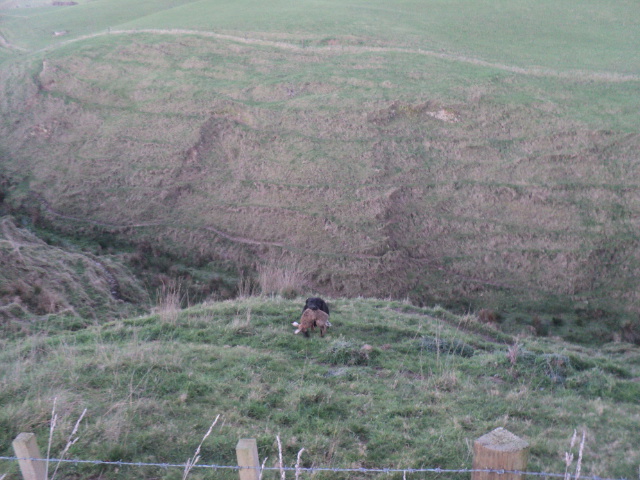 Name:  picture 01 5817.jpg
Views: 197
Size:  163.7 KB