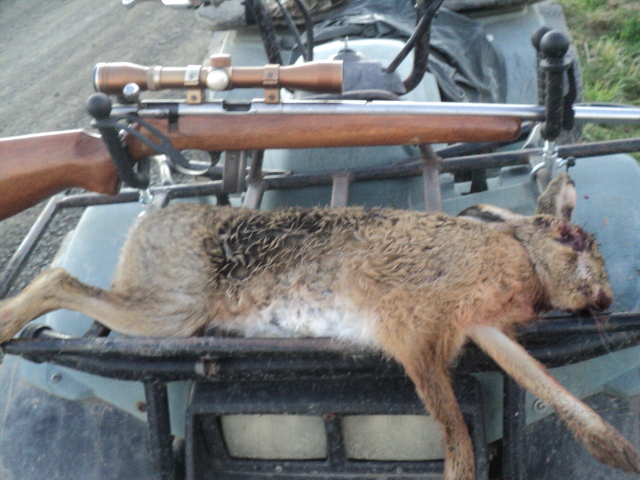 Name:  picture 01 5818.jpg
Views: 206
Size:  165.3 KB