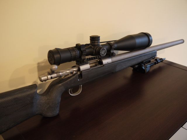 Name:  gun2.jpg
Views: 2818
Size:  28.4 KB