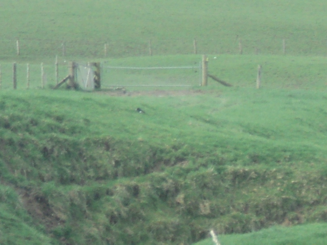 Name:  picture 01 5837.jpg
Views: 230
Size:  164.4 KB