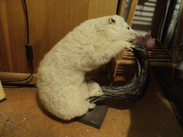 Name:  picture 01 5820.jpg
Views: 473
Size:  163.4 KB