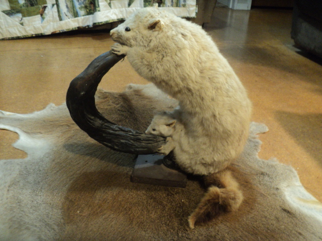 Name:  picture 01 5842.jpg
Views: 461
Size:  164.8 KB