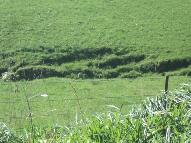 Name:  picture 01 5844.jpg
Views: 203
Size:  165.2 KB