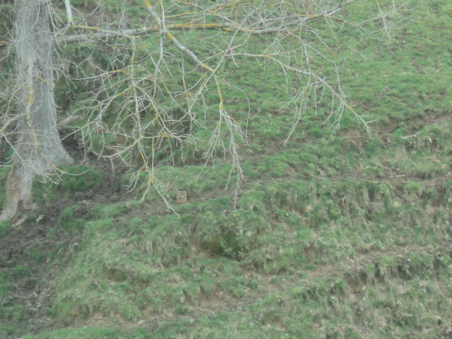 Name:  picture 01 5865.jpg
Views: 413
Size:  164.9 KB